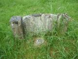 image of grave number 250700